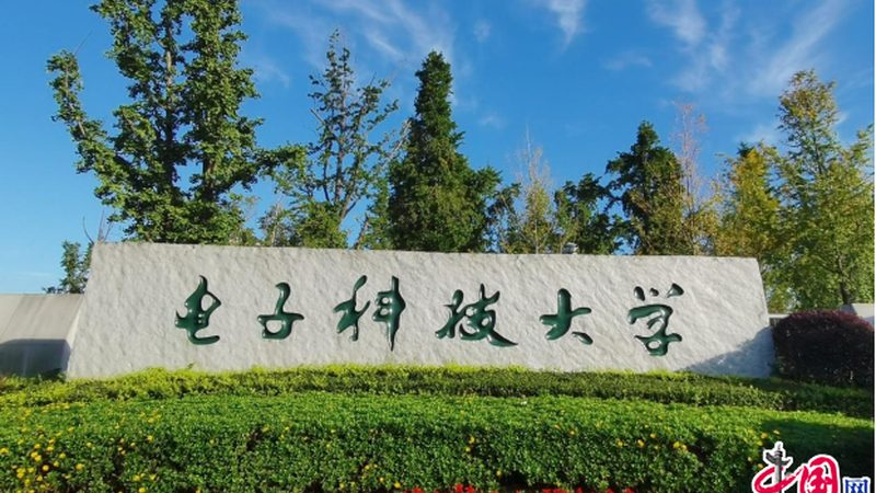 电子元器件电阻代理加盟，揭秘加盟背后的要求与考量