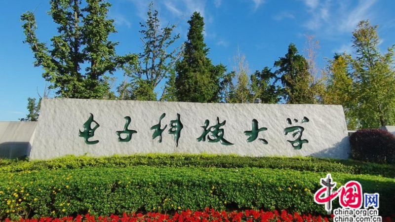 N4007二极管：揭秘其代理加盟背后的技术要点
